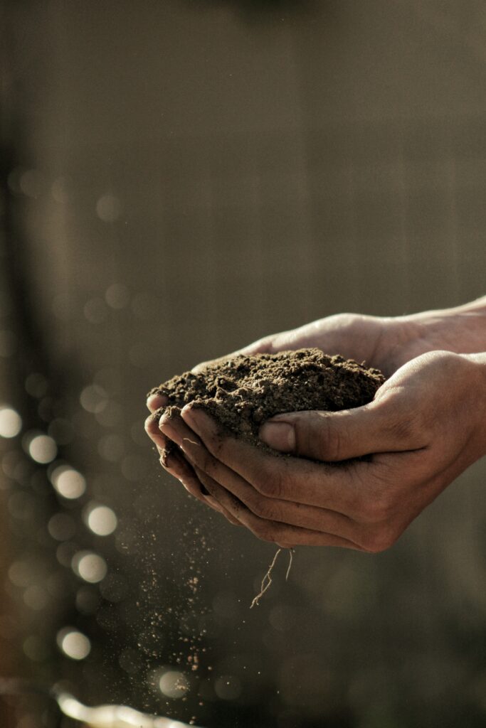 Comment faire une demande de financement à l'OPCO de la transformation et du négoce des produits agricoles, alimentaires et des activités connexes