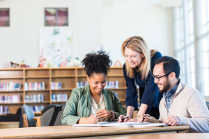 Contrat de Professionnalisation Expérimental