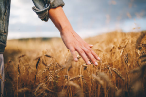 Enseignement agricole – Salariés : Les augmentations à consdérer pour 2025